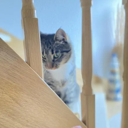 Poeler Koje Nyaraló *