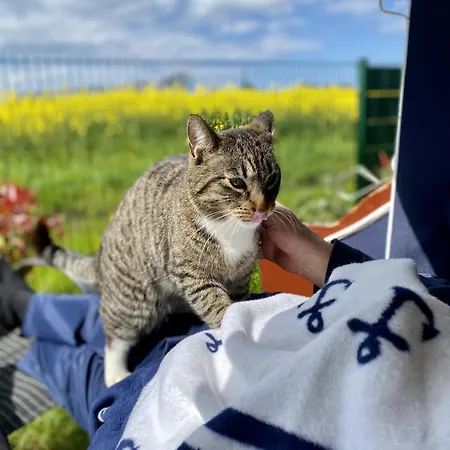 Poeler Koje Kirchdorf